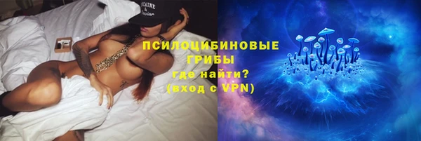 винт Майский