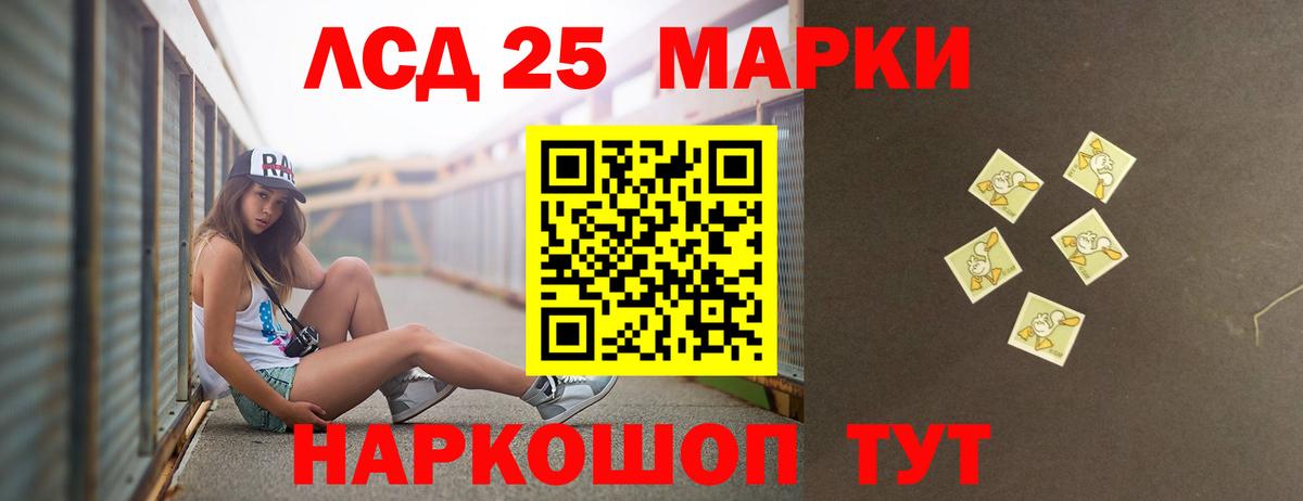 Псилоцибиновые грибы Томск