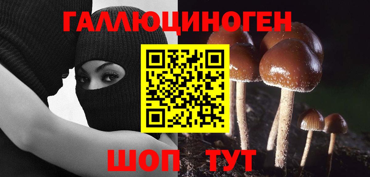 Галлюциногенные грибы прущие грибы  Псилоцибиновые грибы Psilocybine cubensis  магазин продажи наркотиков  Томск 