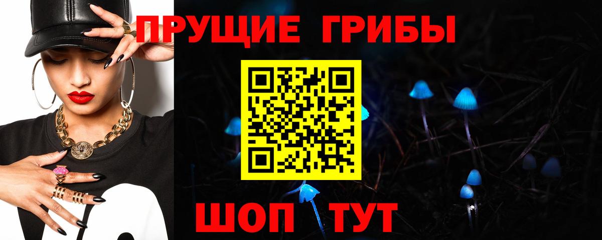 Томск  Псилоцибиновые грибы MAGIC MUSHROOMS  Вход с VPN 